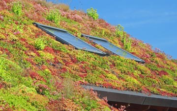Walesby Grange living roof systems